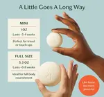 Lotion Bar | Mini | 3 Scents