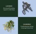 Lotion Bar | Mini | 3 Scents