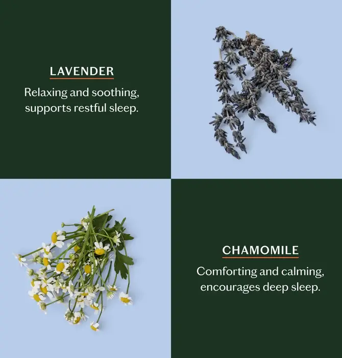 Lotion Bar | Mini | 3 Scents