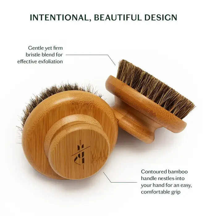 Dry Brush | Bamboo Handle