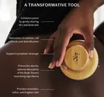 Dry Brush | Bamboo Handle