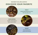 Lotion Bar Trio | Body Stone | Scent Discovery Set