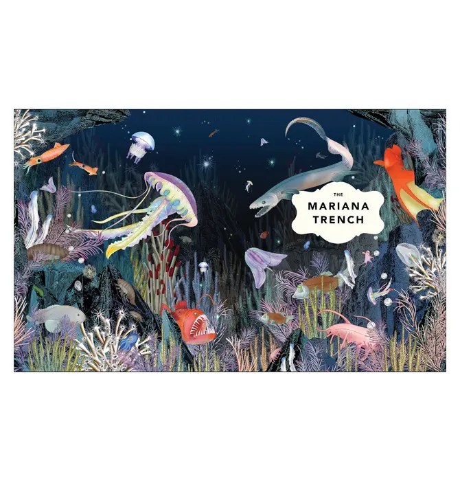 Book | Fantastical Safari