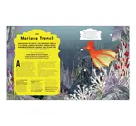 Book | Fantastical Safari