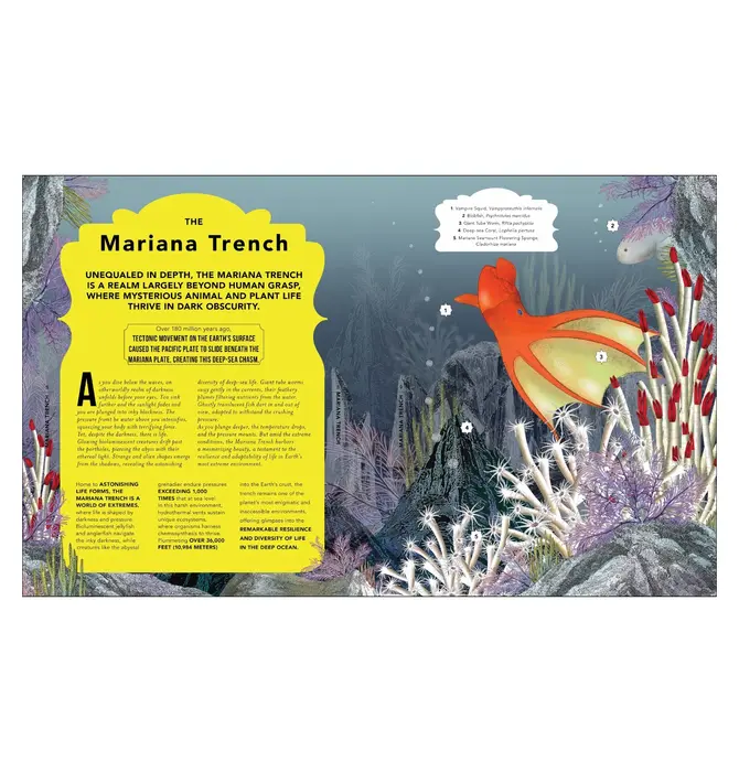 Book | Fantastical Safari