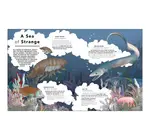 Book | Fantastical Safari