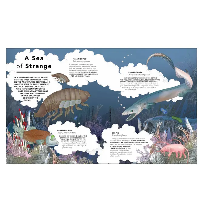 Book | Fantastical Safari