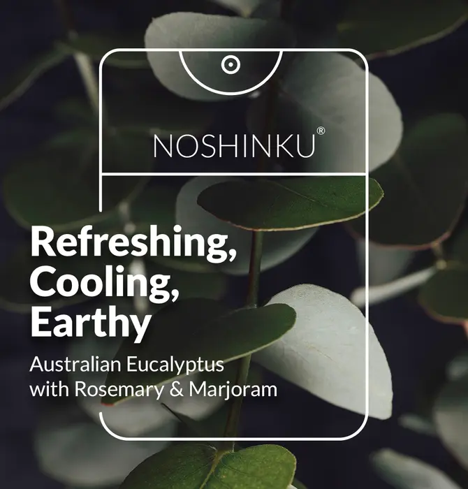 Hand Sanitizer | Refill Pouch