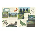 Book | National Parks of the USA