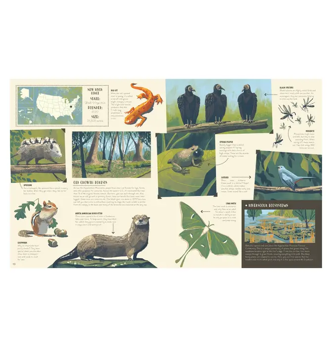 Book | National Parks of the USA