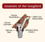 Bottle Pourer | Songbird Specialties® | Black