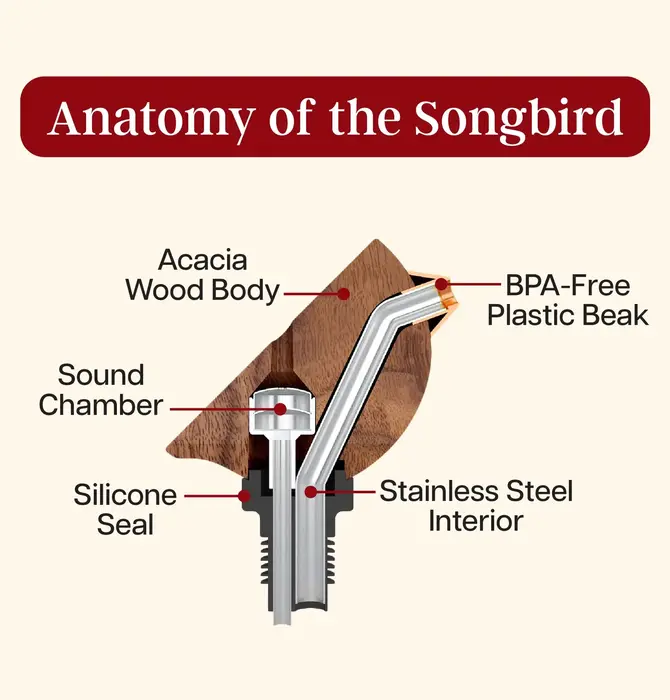 Bottle Pourer | Songbird Specialties® | Black