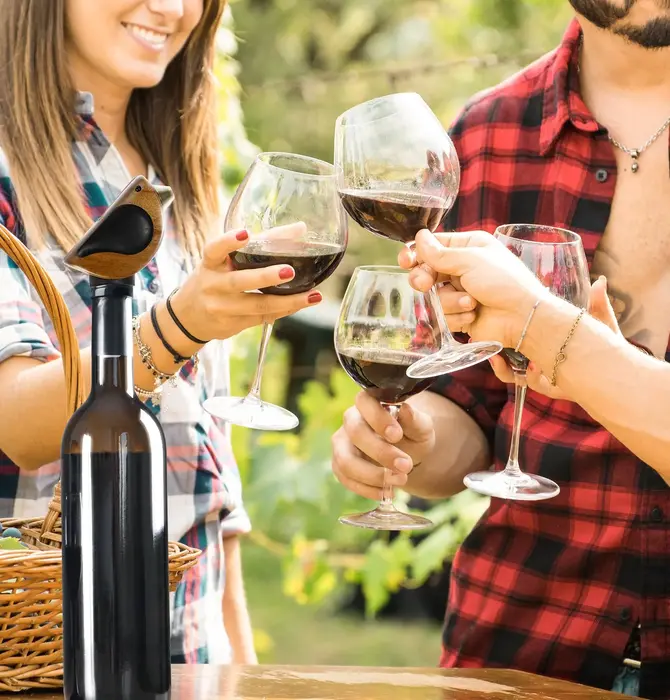 Bottle Pourer | Songbird Specialties® | Black