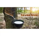 Dog Toy | Ring | Natural Rubber | Green | Medium