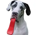 Dog Toy | Tongue Orb | Natural Rubber | Red