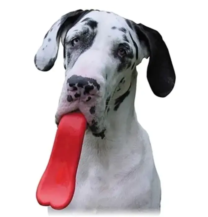 Dog Toy | Tongue Orb | Natural Rubber | Red