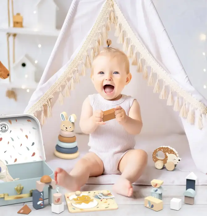 Toy Box | Buildings Blocks + Stacking Rabbit + Chick Puzzle + Pull-Along Hedgehog