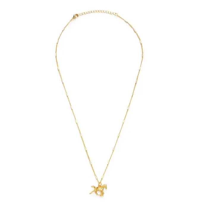 Necklace | Year of the Horse Charm | 20" Chain | 14KGP