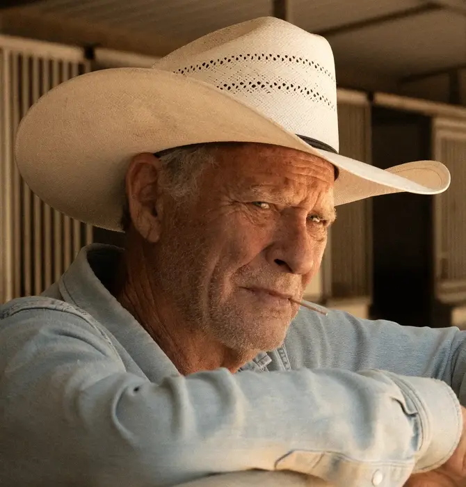 Toothpicks | American White Birch  | Tin Slider 40 Count