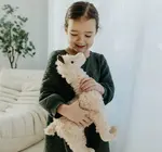 Toy | Animal Plush | Wild Onez | Hedgehog