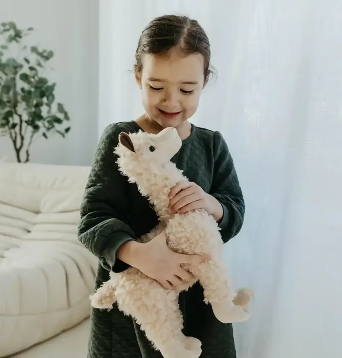 Toy | Animal Plush | Wild Onez | Hedgehog