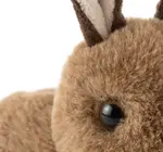 Toy | Animal Plush | Babiez Wild Onez | Bunny Rabbit 6"