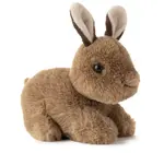 Toy | Animal Plush | Babiez Wild Onez | Bunny Rabbit 6"
