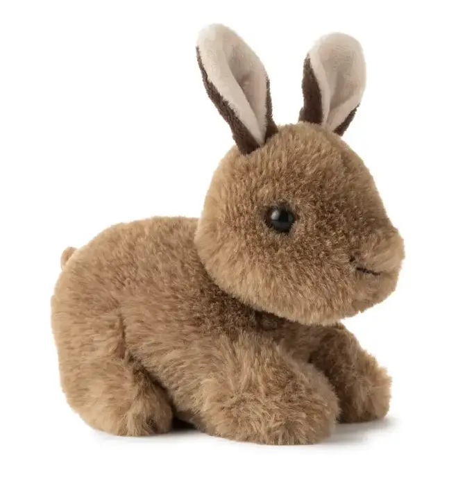 Toy | Animal Plush | Babiez Wild Onez | Bunny Rabbit 6"