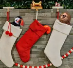 Toy | Animal Plush | Scoopz | Bigfoot Small 8"