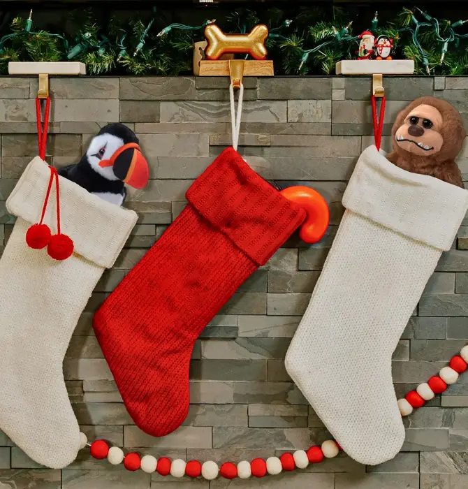 Toy | Animal Plush | Scoopz | Bigfoot Small 8"