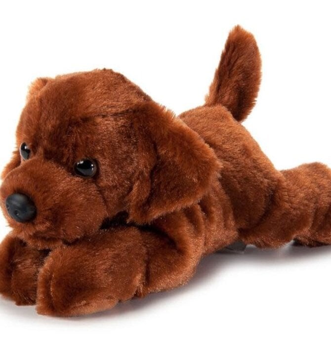 Toy | Animal Plush | Scoopz | Chocolate Lab