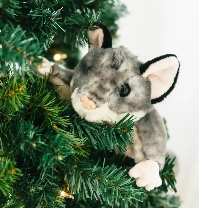 Toy | Animal Plush | Wild Onez | Sugar Glider