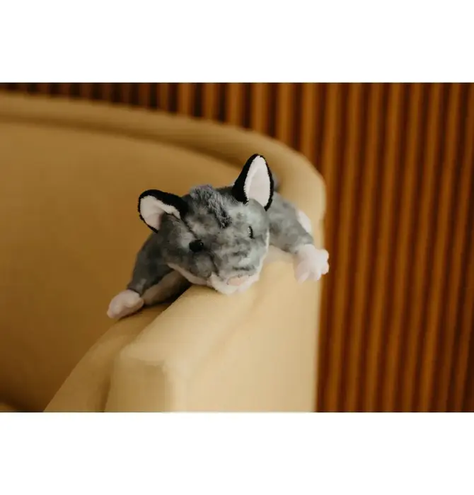 Toy | Animal Plush | Wild Onez | Sugar Glider