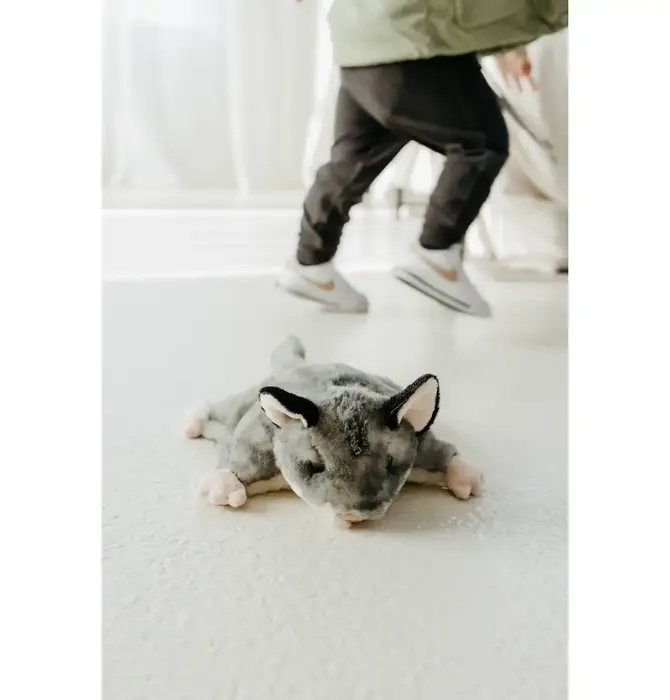 Toy | Animal Plush | Wild Onez | Sugar Glider