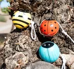 Toy | Yo-Yo | Busy Bug