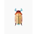 3D Insect Puzzle | Small Beetle