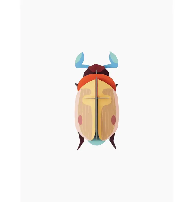 3D Insect Puzzle | Small Beetle