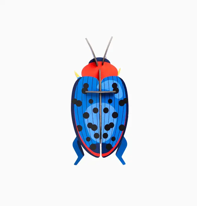 3D Insect Puzzle | Small Beetle