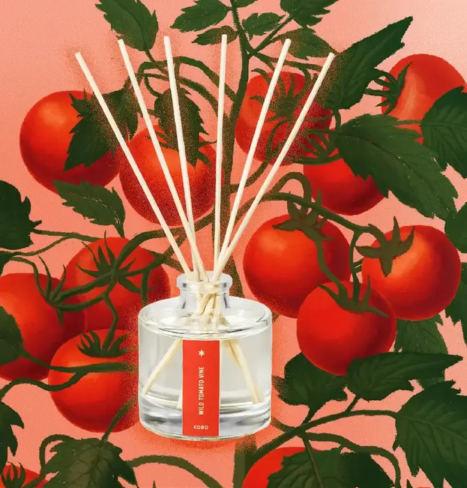Diffuser | Wild Tomato Vine | 4oz