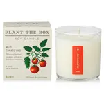 Candle | Wild Tomato Vine | 9oz