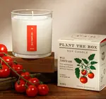 Candle | Wild Tomato Vine | 9oz