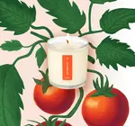Candle | Wild Tomato Vine | 9oz