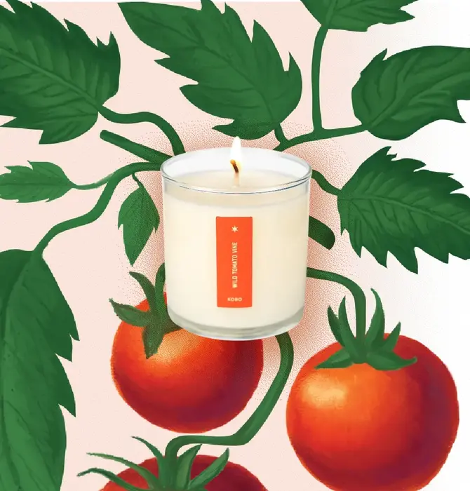 Candle | Wild Tomato Vine | 9oz