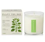 Candle | Fresh Picked Basil | 9oz