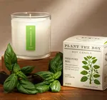 Candle | Fresh Picked Basil | 9oz
