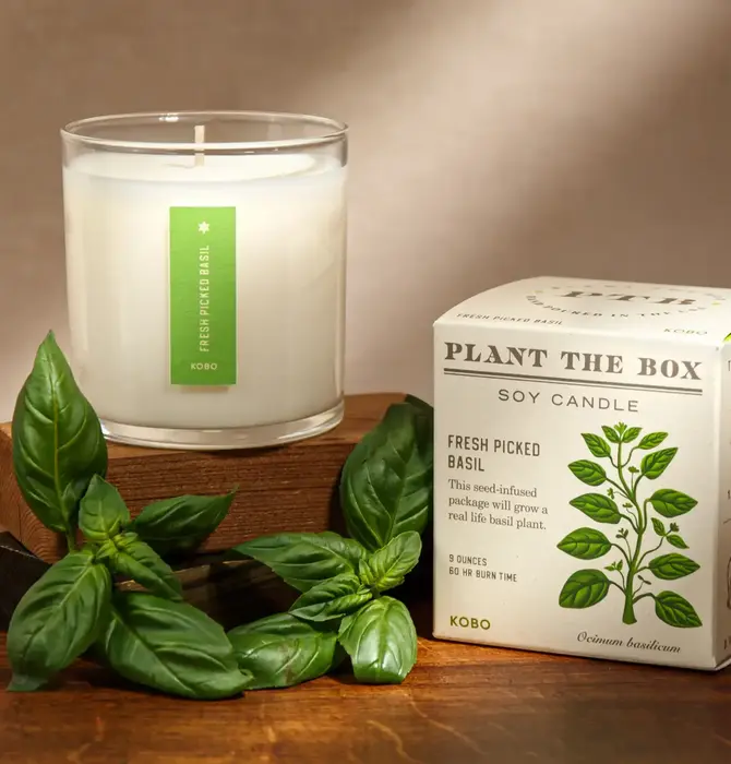 Candle | Fresh Picked Basil | 9oz