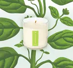 Candle | Fresh Picked Basil | 9oz