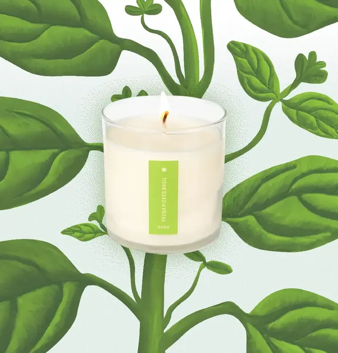 Candle | Fresh Picked Basil | 9oz