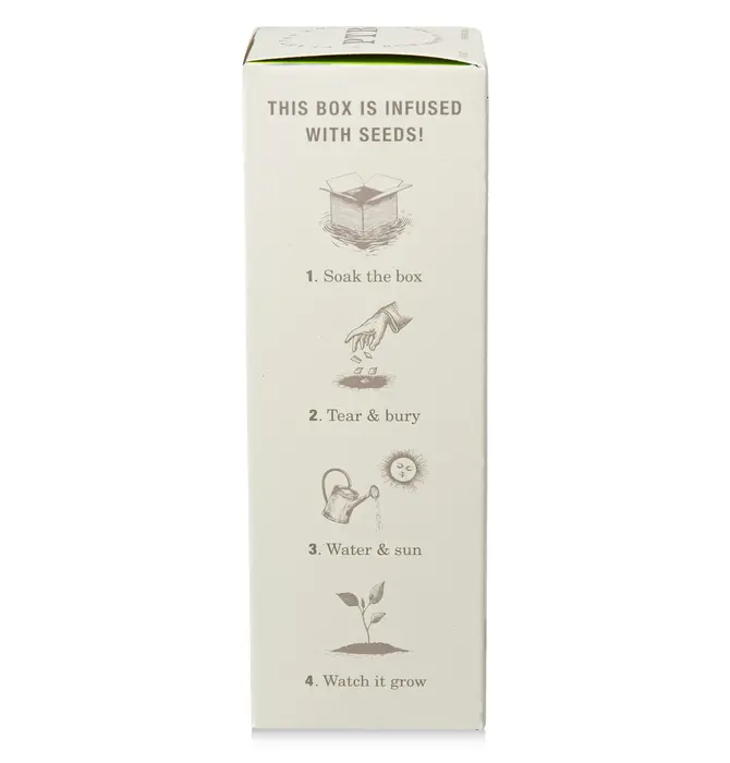 Diffuser | Fresh Picked Basil | 4oz