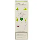 Diffuser | Fresh Picked Basil | 4oz